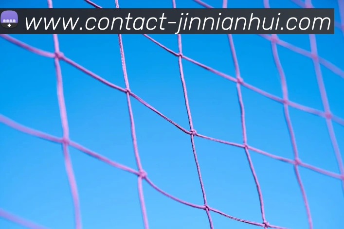 金年会体育平台生态图